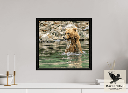 Raven Wind Photography & Illustrations-Missed the Catch - not the Moment! Fine Art Wildlife Print -