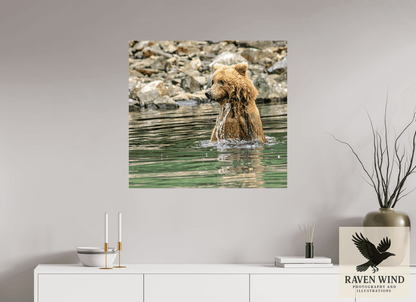 Raven Wind Photography & Illustrations-Missed the Catch - not the Moment! Fine Art Wildlife Print -