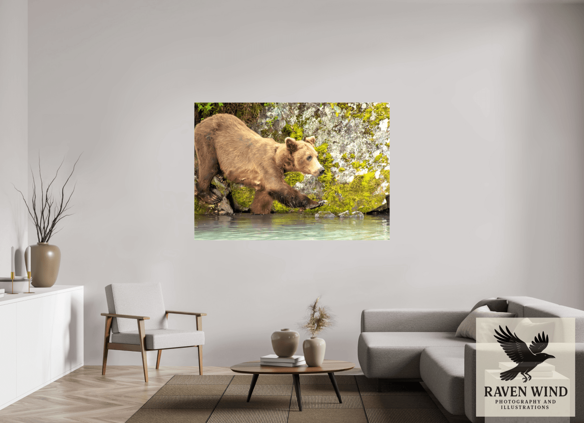 Raven Wind Photography & Illustrations-Momma on a Mission Fine Art Wildlife Print -