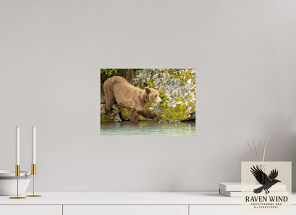 Raven Wind Photography & Illustrations-Momma on a Mission Fine Art Wildlife Print -