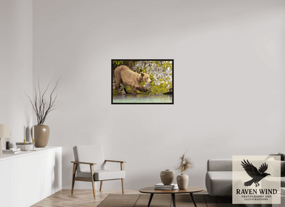 Raven Wind Photography & Illustrations-Momma on a Mission Fine Art Wildlife Print -