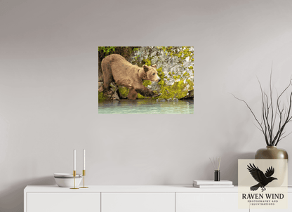 Raven Wind Photography & Illustrations-Momma on a Mission Fine Art Wildlife Print -