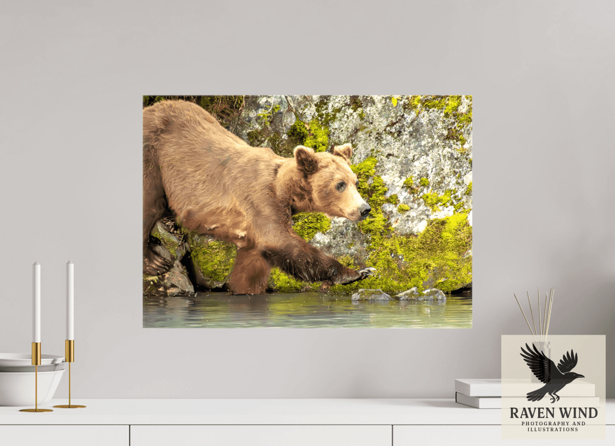 Raven Wind Photography & Illustrations-Momma on a Mission Fine Art Wildlife Print -