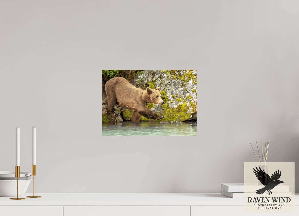 Raven Wind Photography & Illustrations-Momma on a Mission Fine Art Wildlife Print -