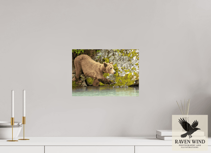 Raven Wind Photography & Illustrations-Momma on a Mission Fine Art Wildlife Print -