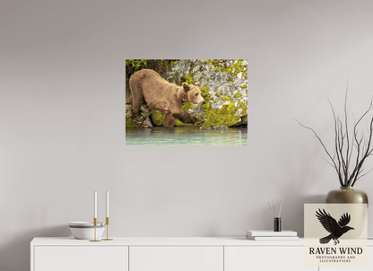 Raven Wind Photography & Illustrations-Momma on a Mission Fine Art Wildlife Print -