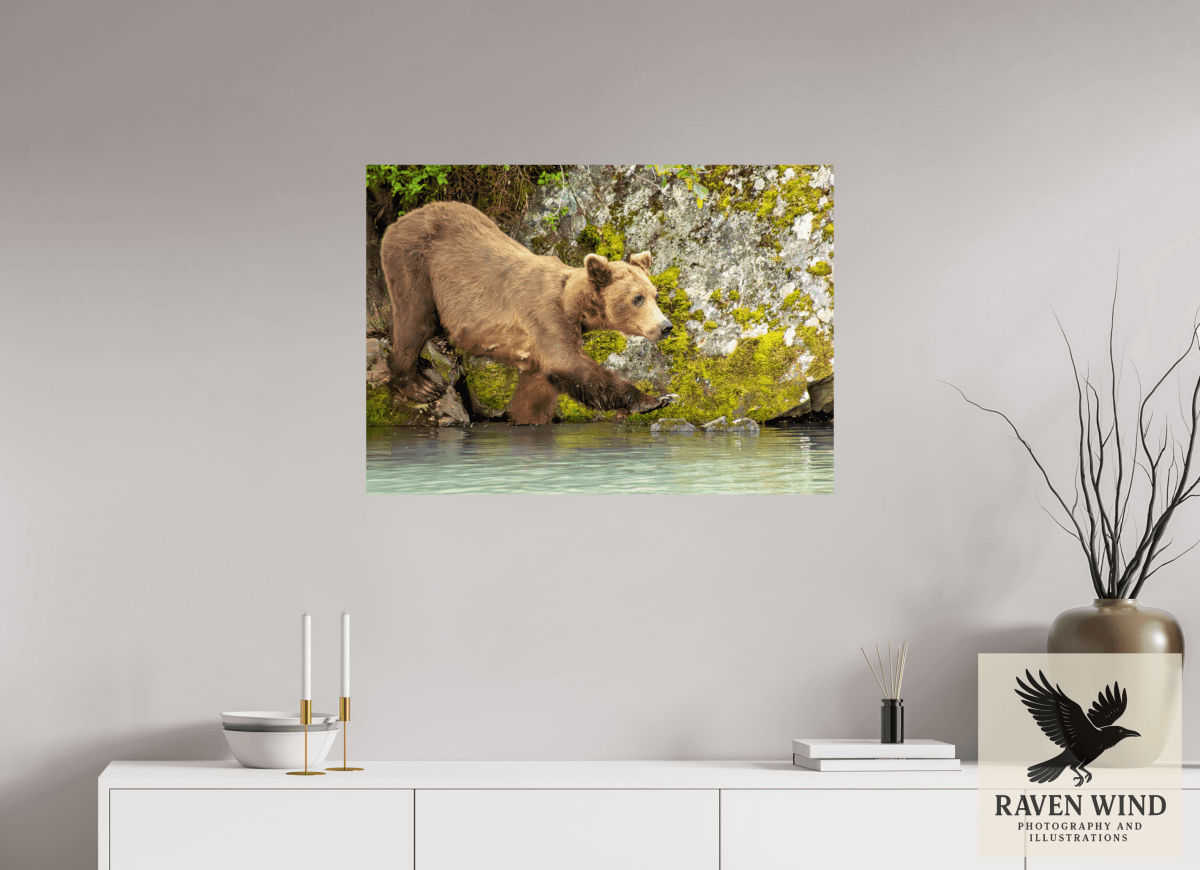 Raven Wind Photography & Illustrations-Momma on a Mission Fine Art Wildlife Print -