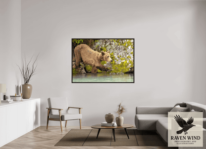 Raven Wind Photography & Illustrations-Momma on a Mission Fine Art Wildlife Print -