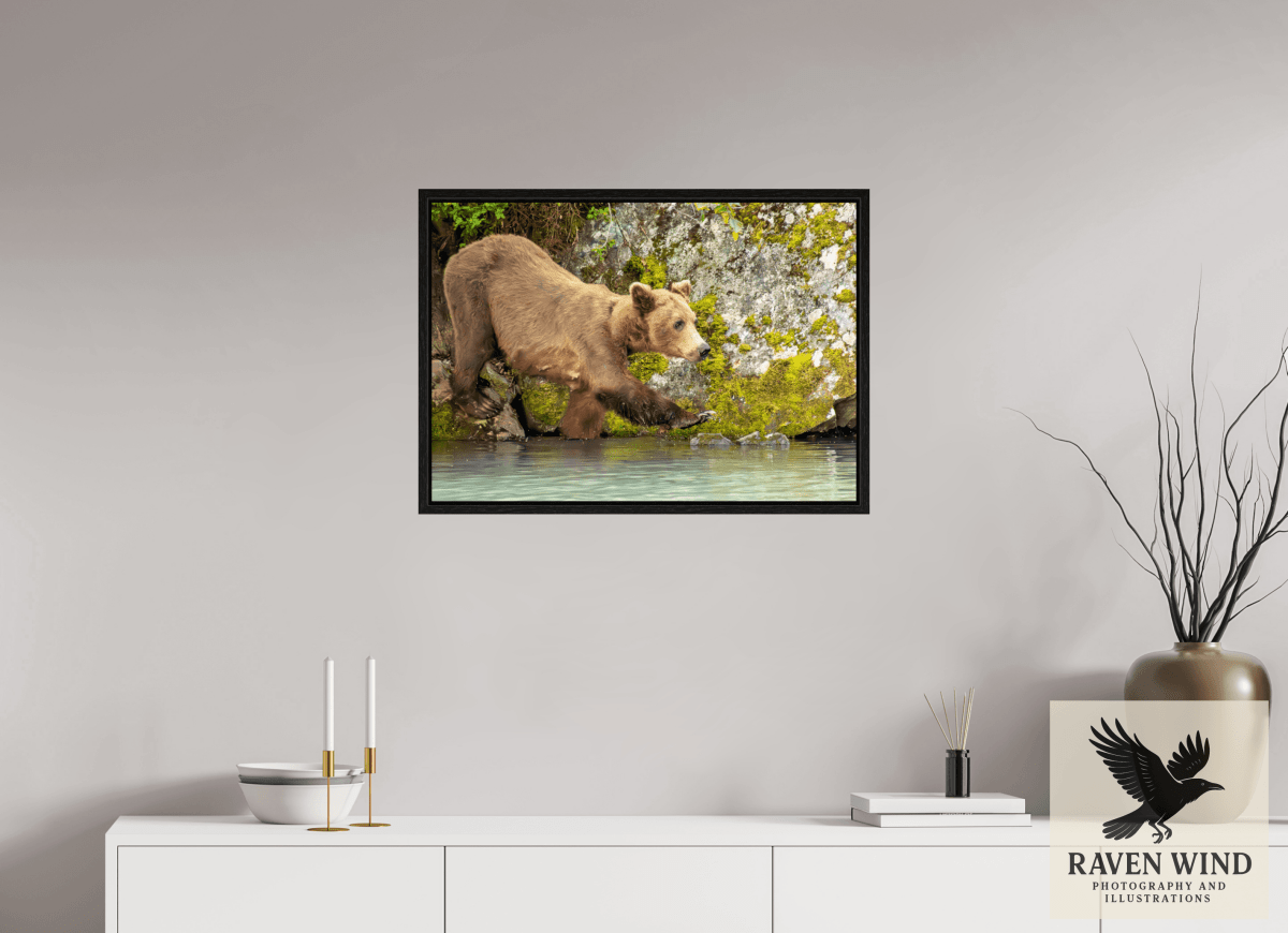 Raven Wind Photography & Illustrations-Momma on a Mission Fine Art Wildlife Print -