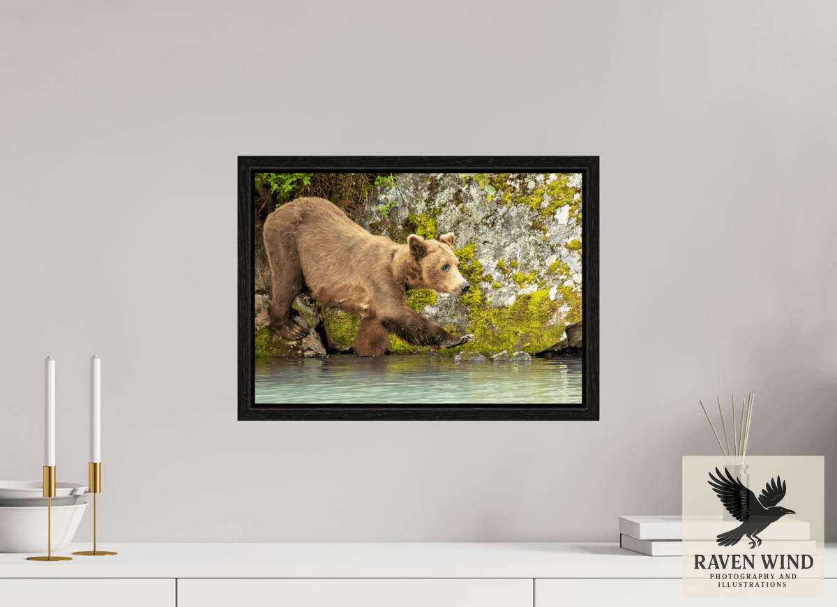 Raven Wind Photography & Illustrations-Momma on a Mission Fine Art Wildlife Print -