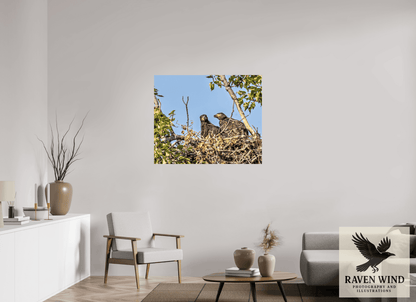 Raven Wind Photography & Illustrations-Nestmates - Young Eagles in a Woodland Fine Art Wildlife Print -