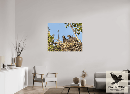 Raven Wind Photography & Illustrations-Nestmates - Young Eagles in a Woodland Fine Art Wildlife Print -
