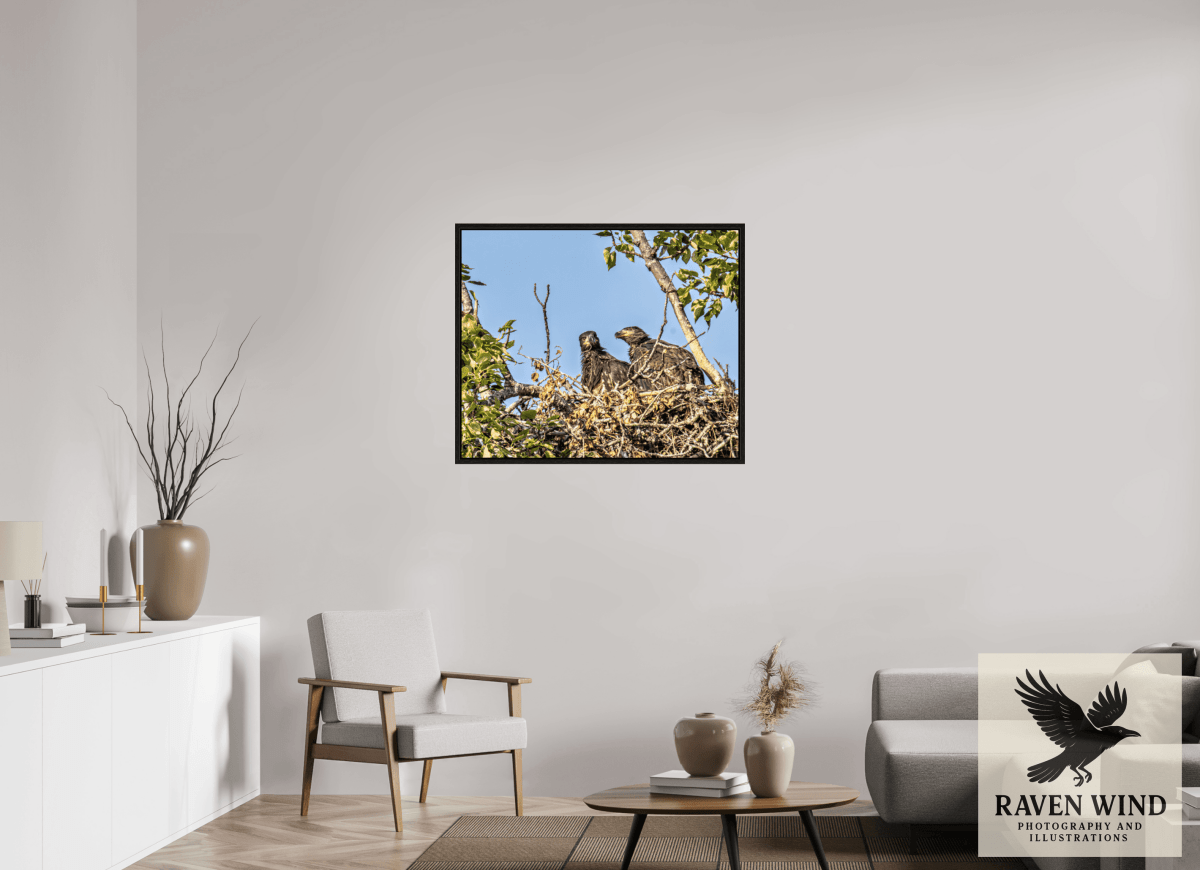 Raven Wind Photography & Illustrations-Nestmates - Young Eagles in a Woodland Fine Art Wildlife Print -