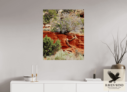 Raven Wind Photography & Illustrations-Resilient Roots Fine Art Nature Print -