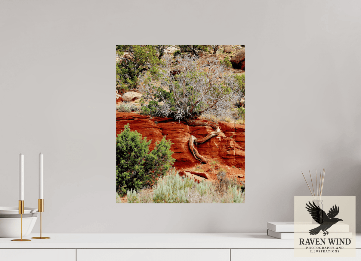 Raven Wind Photography & Illustrations-Resilient Roots Fine Art Nature Print -