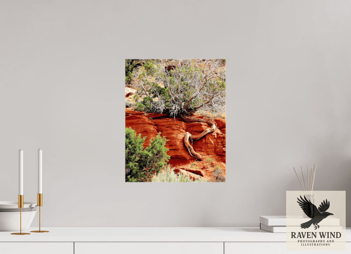 Raven Wind Photography & Illustrations-Resilient Roots Fine Art Nature Print -