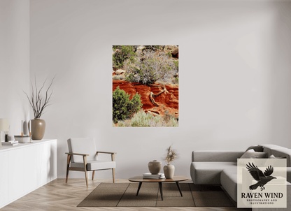 Raven Wind Photography & Illustrations-Resilient Roots Fine Art Nature Print -