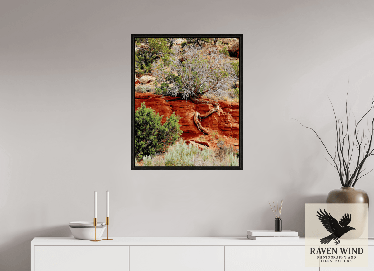 Raven Wind Photography & Illustrations-Resilient Roots Fine Art Nature Print -