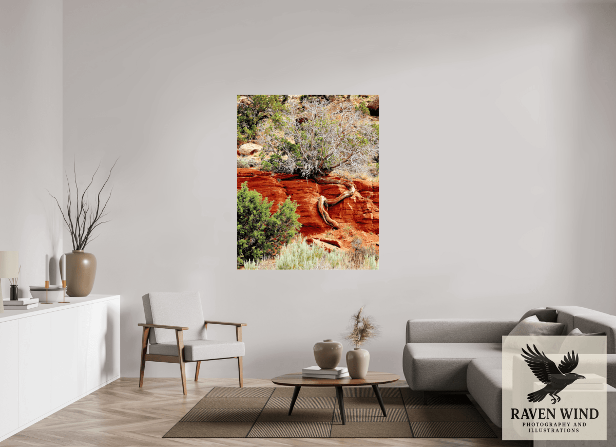Raven Wind Photography & Illustrations-Resilient Roots Fine Art Nature Print -