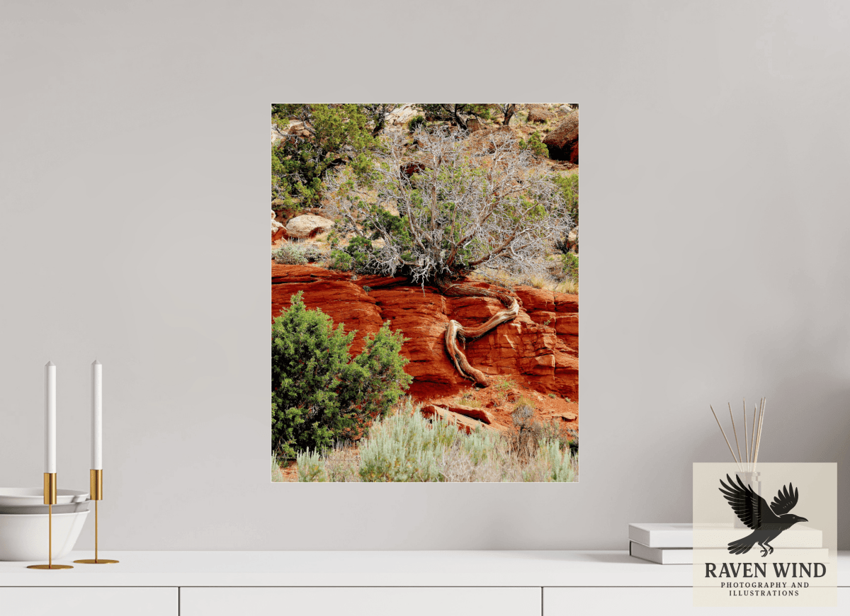 Raven Wind Photography & Illustrations-Resilient Roots Fine Art Nature Print -