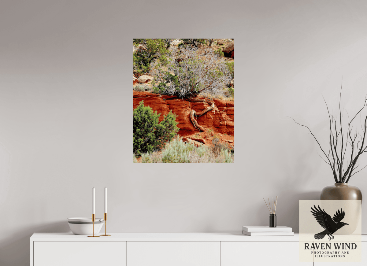 Raven Wind Photography & Illustrations-Resilient Roots Fine Art Nature Print -