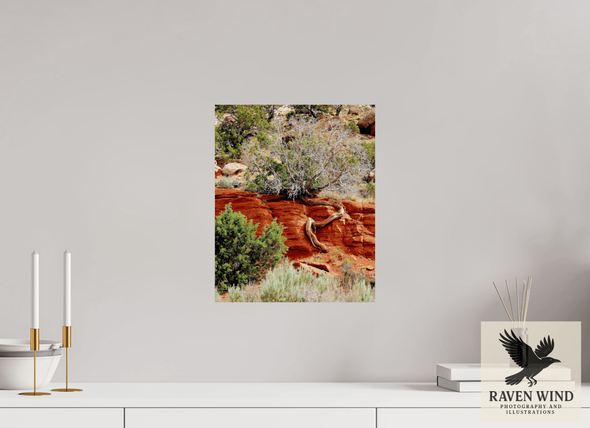 Raven Wind Photography & Illustrations-Resilient Roots Fine Art Nature Print -