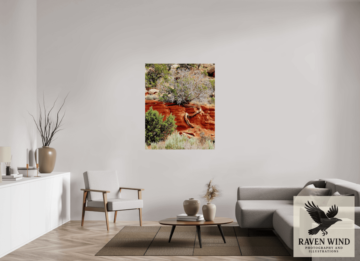 Raven Wind Photography & Illustrations-Resilient Roots Fine Art Nature Print -