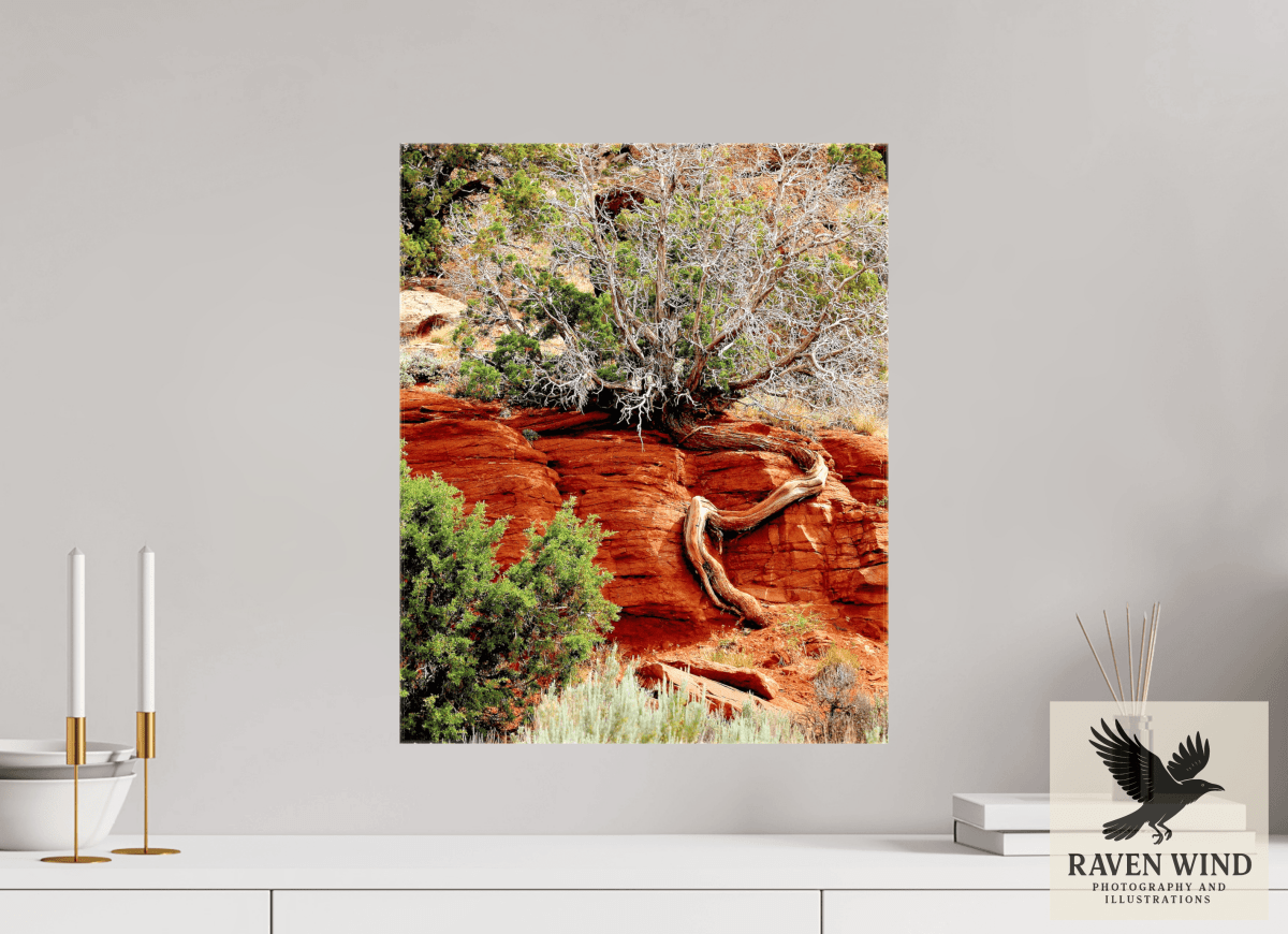 Raven Wind Photography & Illustrations-Resilient Roots Fine Art Nature Print -