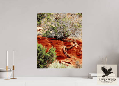 Raven Wind Photography & Illustrations-Resilient Roots Fine Art Nature Print -