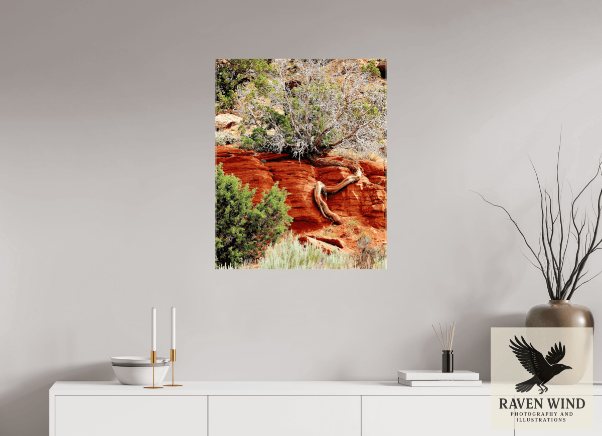 Raven Wind Photography & Illustrations-Resilient Roots Fine Art Nature Print -