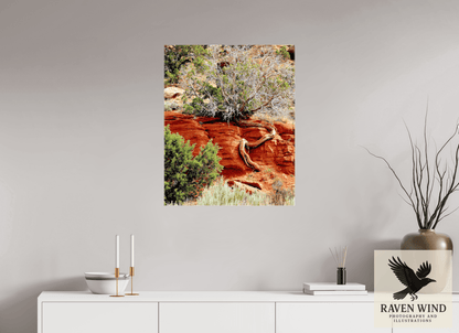 Raven Wind Photography & Illustrations-Resilient Roots Fine Art Nature Print -