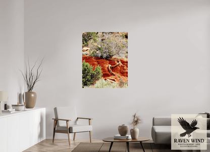 Raven Wind Photography & Illustrations-Resilient Roots Fine Art Nature Print -
