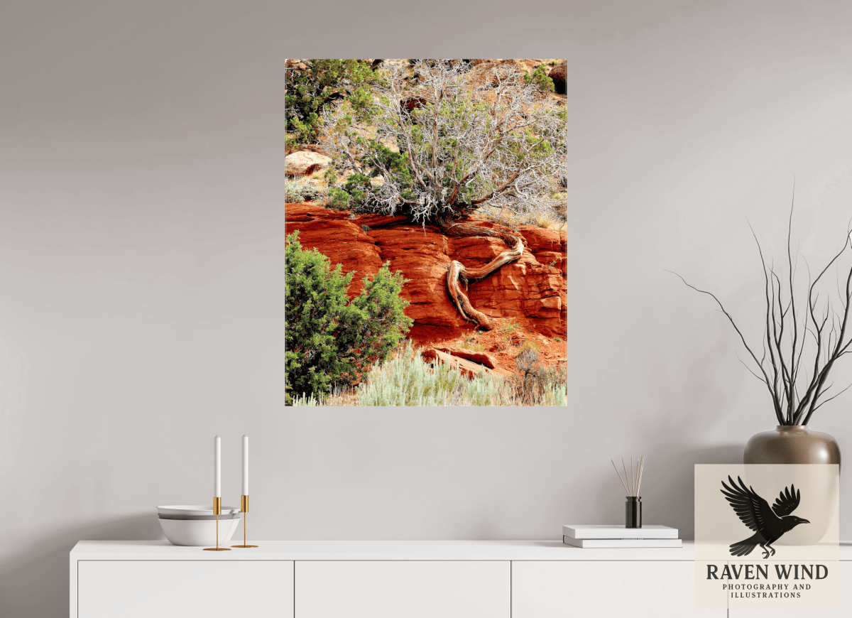 Raven Wind Photography & Illustrations-Resilient Roots Fine Art Nature Print -