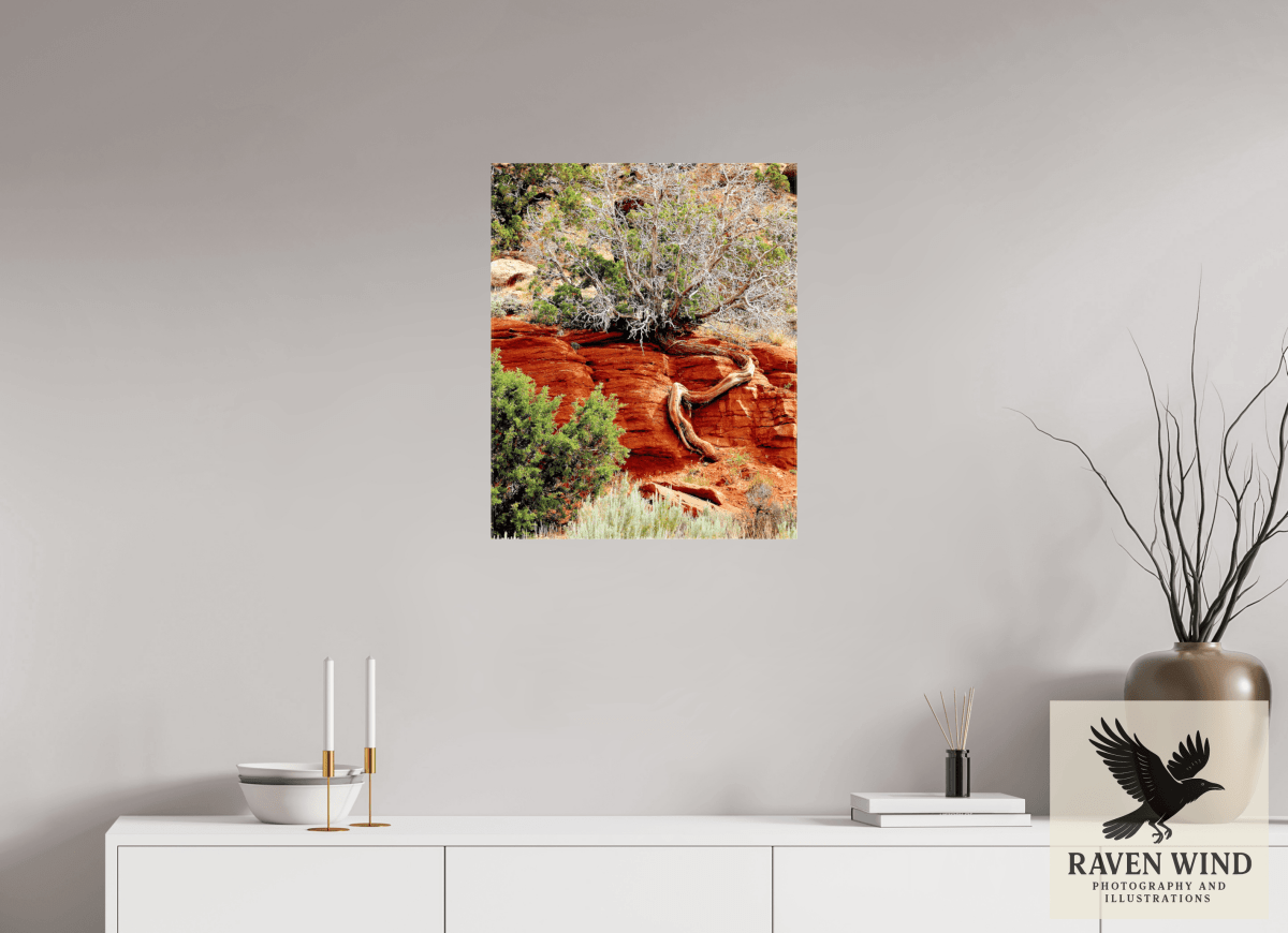 Raven Wind Photography & Illustrations-Resilient Roots Fine Art Nature Print -
