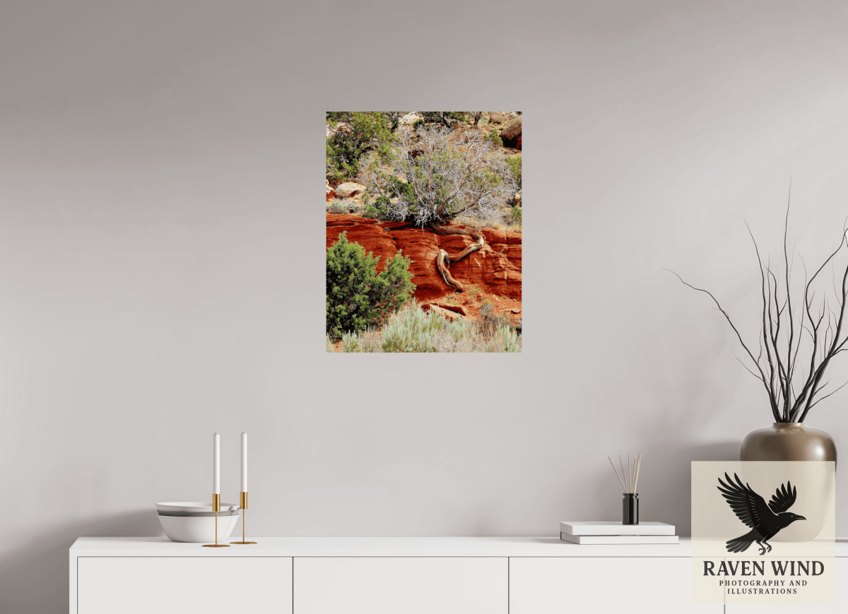 Raven Wind Photography & Illustrations-Resilient Roots Fine Art Nature Print -