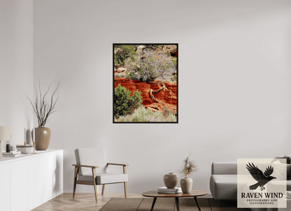 Raven Wind Photography & Illustrations-Resilient Roots Fine Art Nature Print -