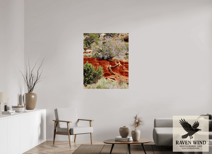Raven Wind Photography & Illustrations-Resilient Roots Fine Art Nature Print -