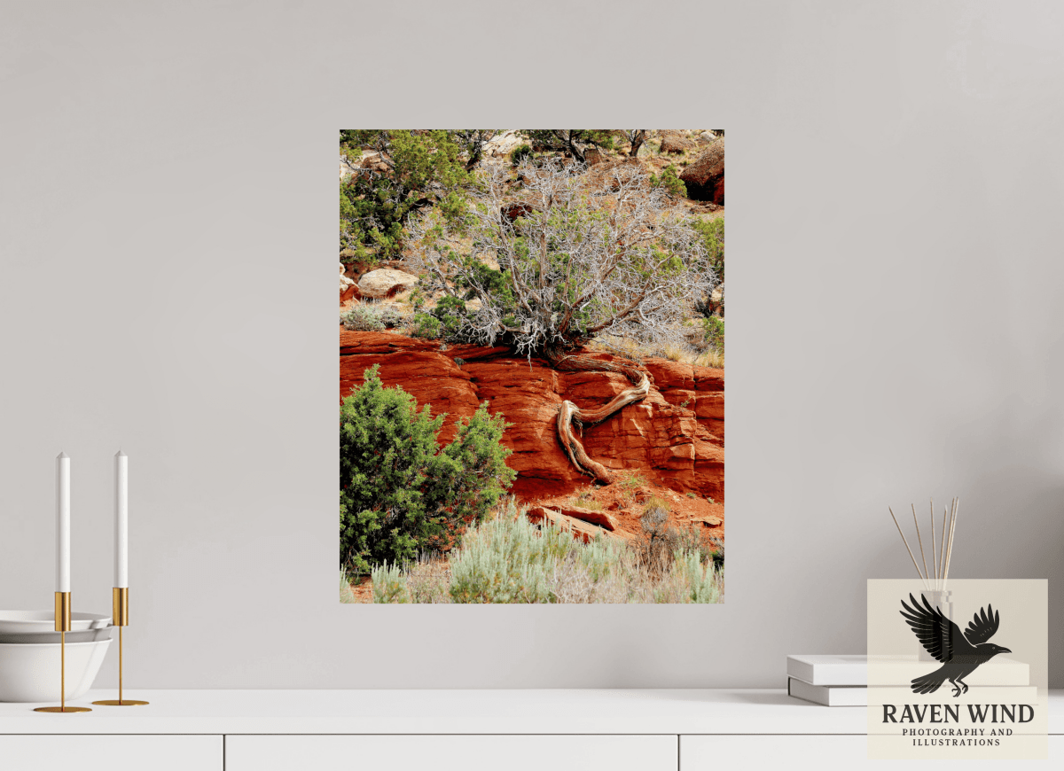 Raven Wind Photography & Illustrations-Resilient Roots Fine Art Nature Print -