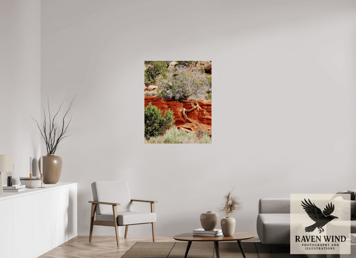 Raven Wind Photography & Illustrations-Resilient Roots Fine Art Nature Print -