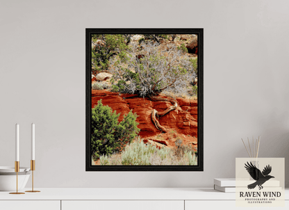 Raven Wind Photography & Illustrations-Resilient Roots Fine Art Nature Print -