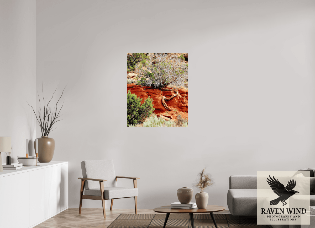 Raven Wind Photography & Illustrations-Resilient Roots Fine Art Nature Print -
