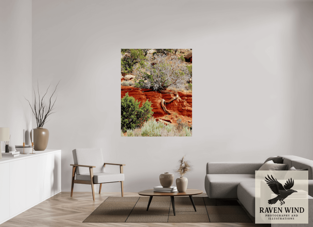 Raven Wind Photography & Illustrations-Resilient Roots Fine Art Nature Print -