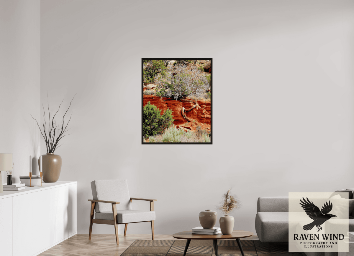 Raven Wind Photography & Illustrations-Resilient Roots Fine Art Nature Print -
