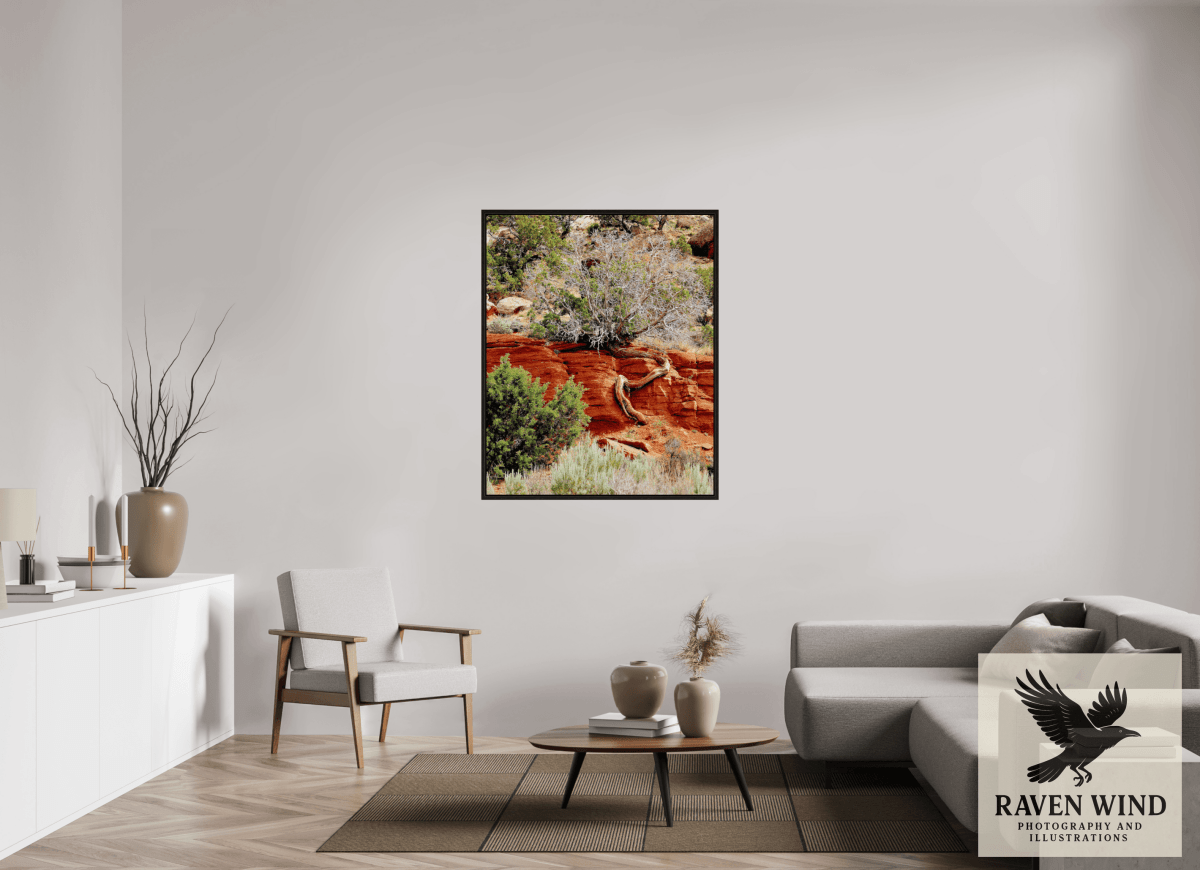 Raven Wind Photography & Illustrations-Resilient Roots Fine Art Nature Print -