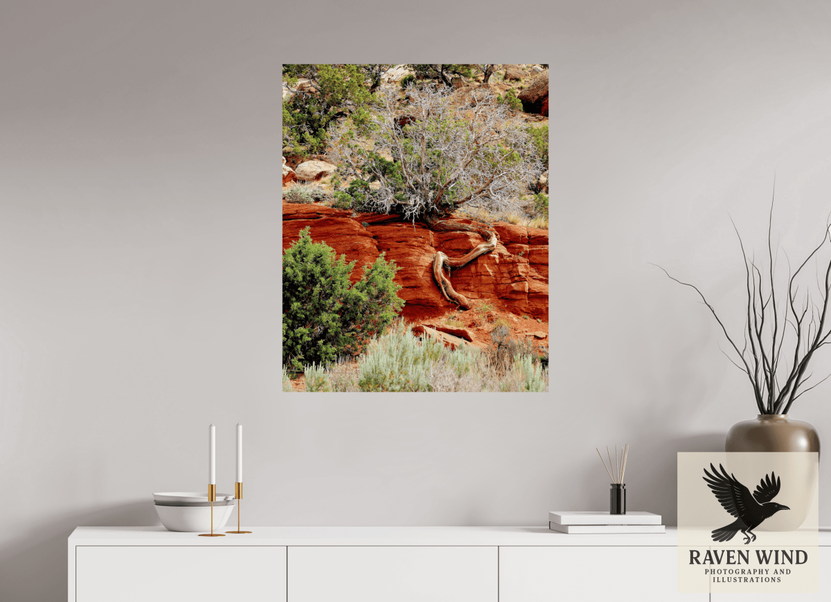 Raven Wind Photography & Illustrations-Resilient Roots Fine Art Nature Print -