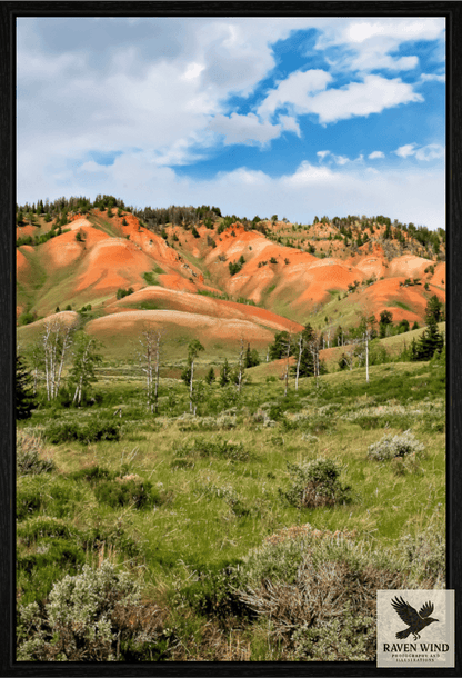 Raven Wind Photography & Illustrations-Salmon Hills Fine Art Nature Print -