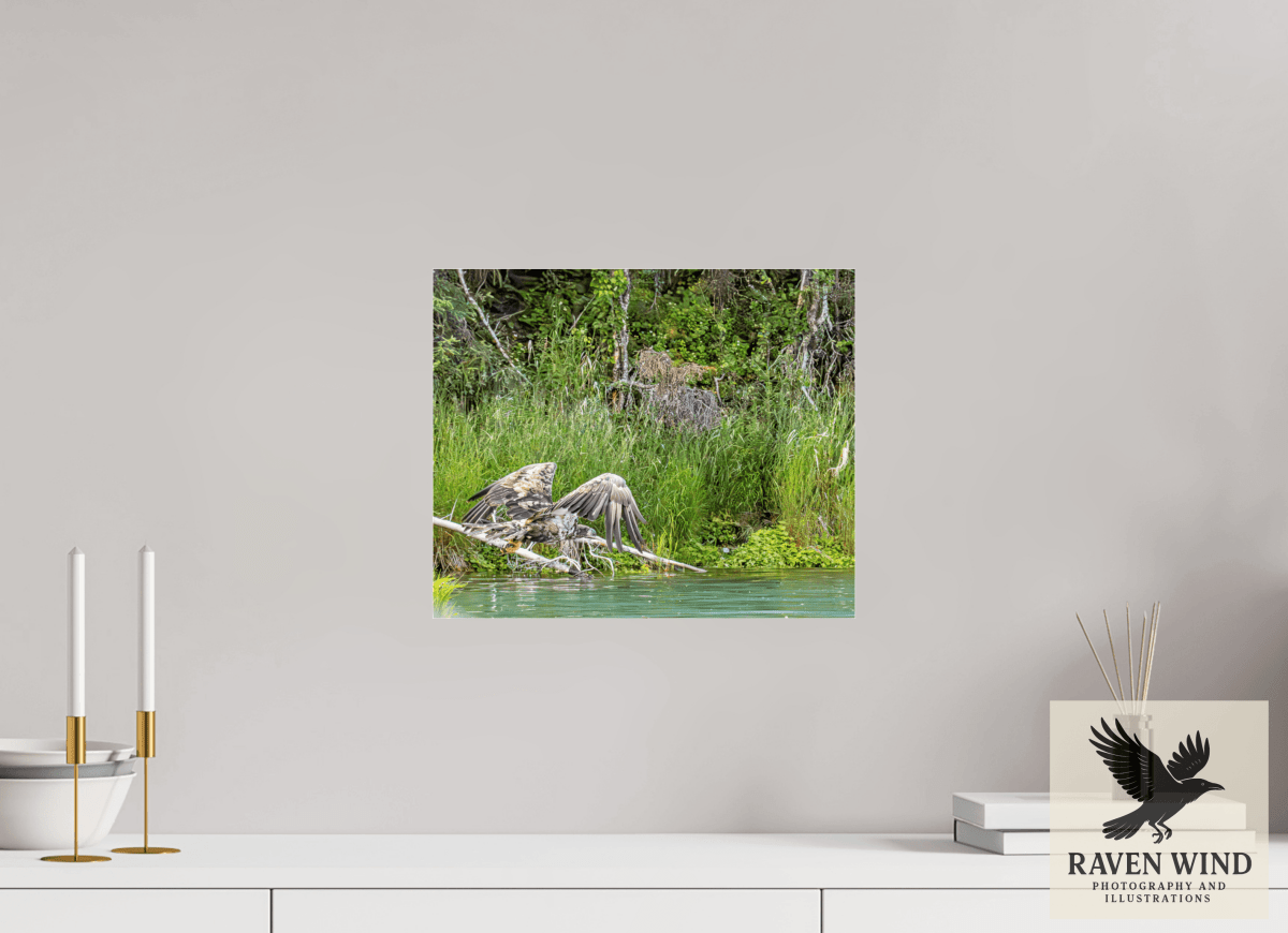 Raven Wind Photography & Illustrations-Skimming the Wild - Eagle Over the Kasilof River Fine Art Wildlife Print -