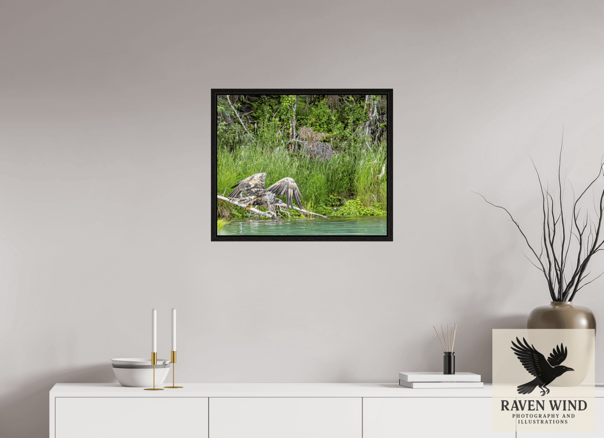 Raven Wind Photography & Illustrations-Skimming the Wild - Eagle Over the Kasilof River Fine Art Wildlife Print -