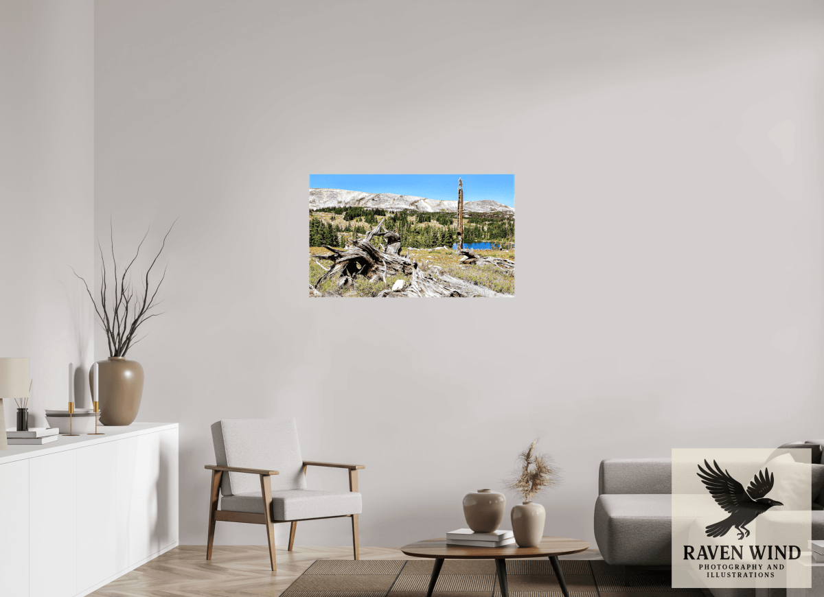 Raven Wind Photography & Illustrations-Standing Bear Tree - Bear Lake, Colorado Fine Art Nature Print -