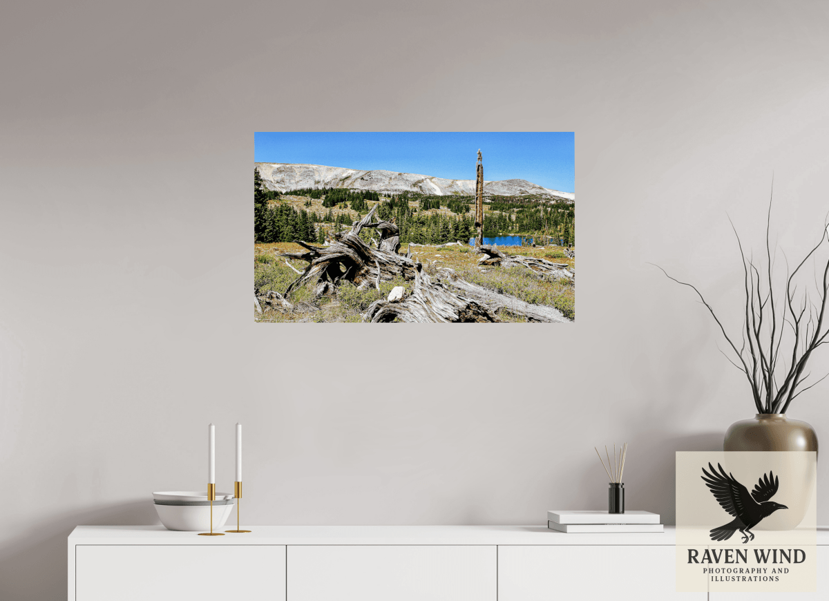 Raven Wind Photography & Illustrations-Standing Bear Tree - Bear Lake, Colorado Fine Art Nature Print -